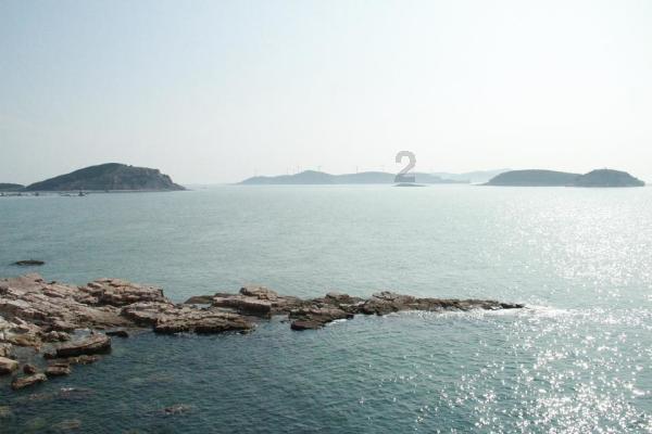 逃出猫头鹰岛
